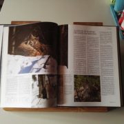Boekenstandaard van Steigerhout 30° in Old-Brown met Boek